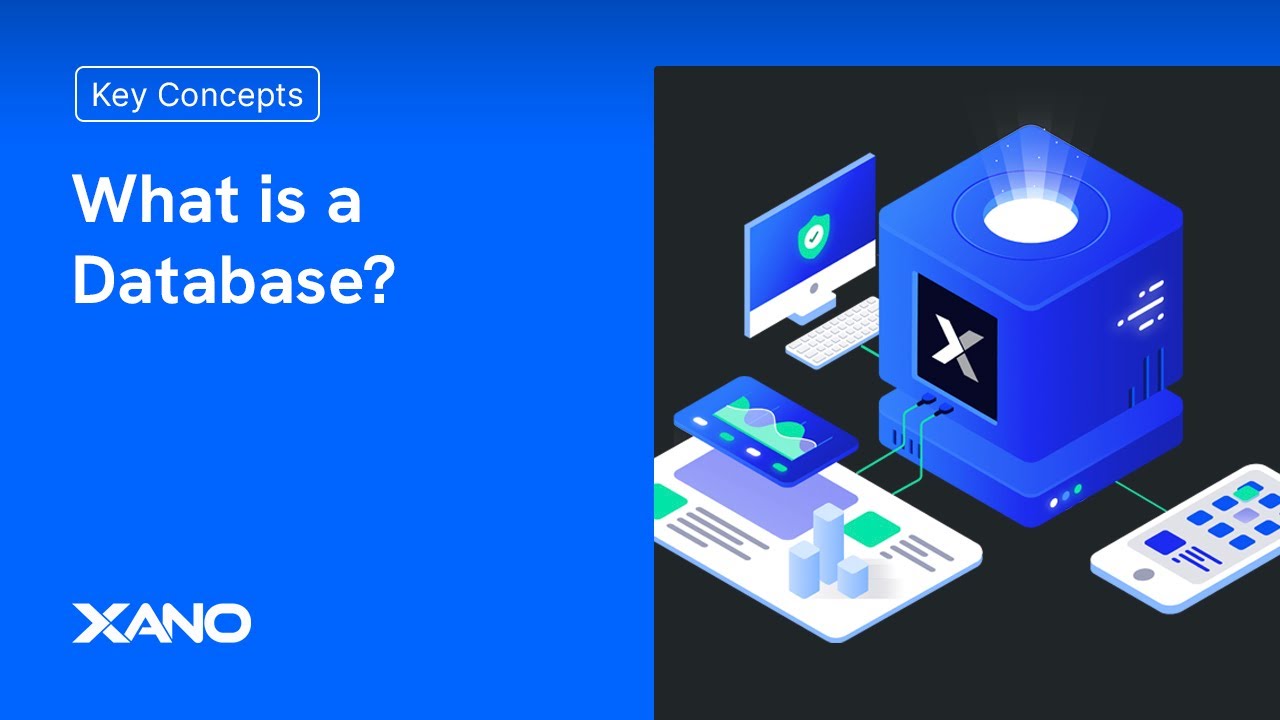 What is a Database